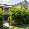 Golden Cane Palm
