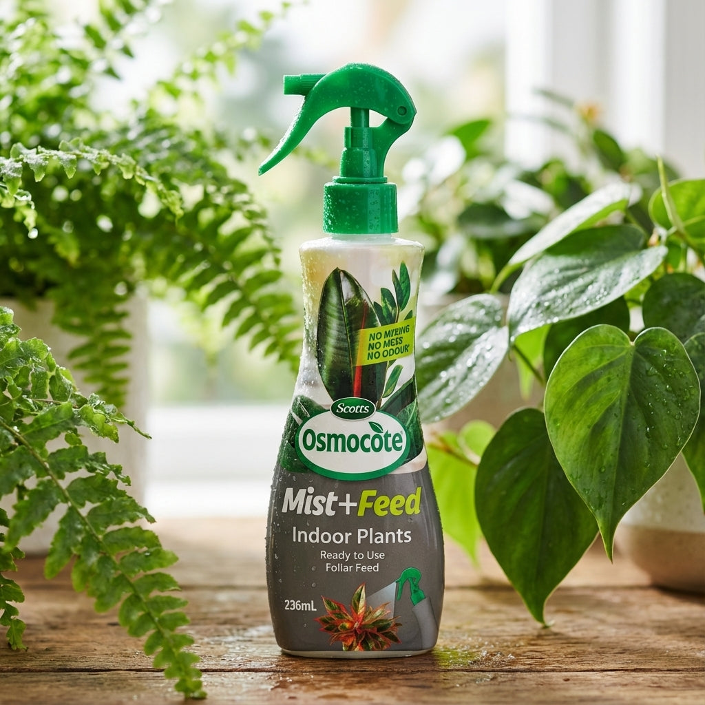 A bottle of Scotts Osmocote 236ml Mist+Feed for Indoor Plants sits on a table, surrounded by lush green houseplants.