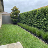 A garden designed from the customer photo