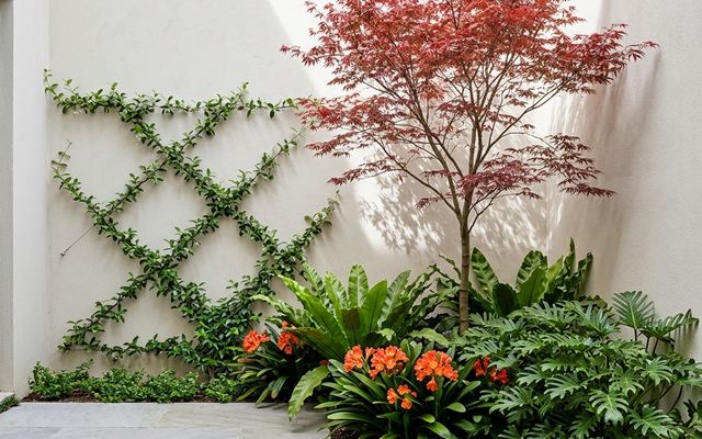 Small Courtyard Garden