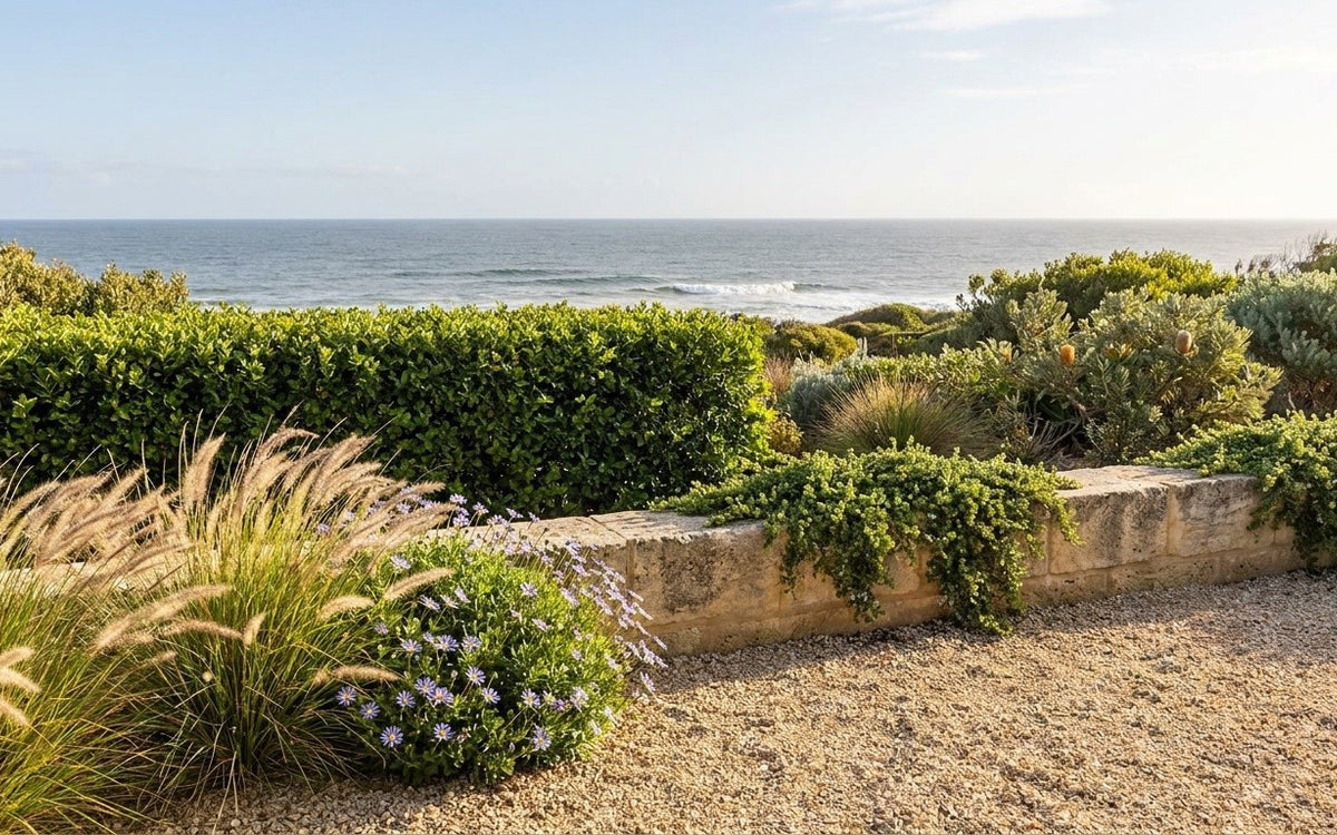 A Geelong and Surf Coast garden with lilly pilly, boobialla and fountain grass