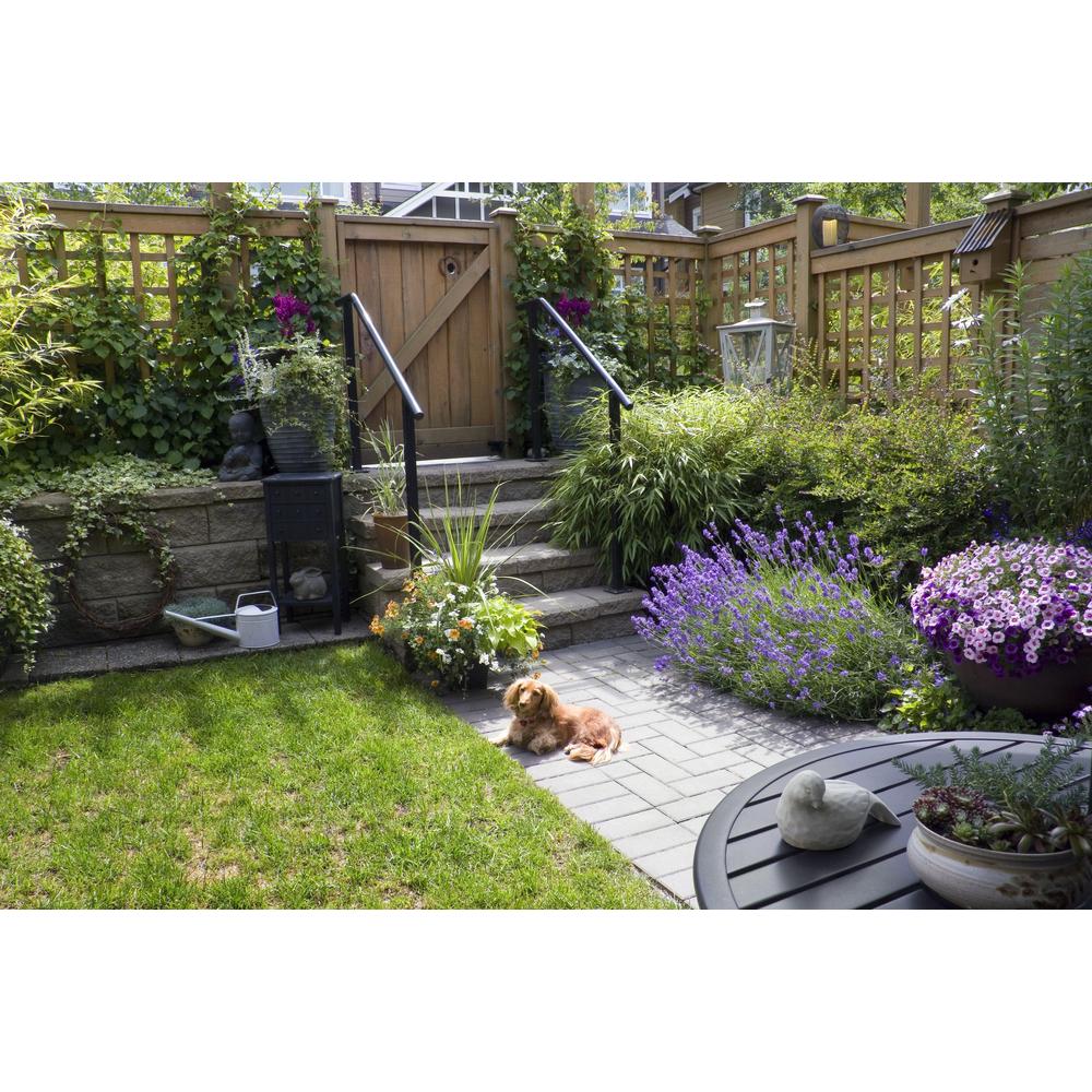 Creating an animal friendly garden