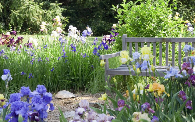 Why Plants Grow Better in Some Seasons Than Others