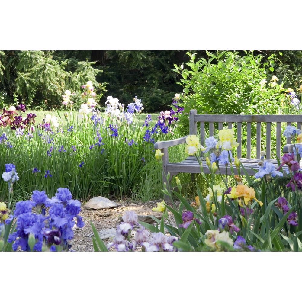 Discovering Why Your Plants Thrive in Certain Seasons