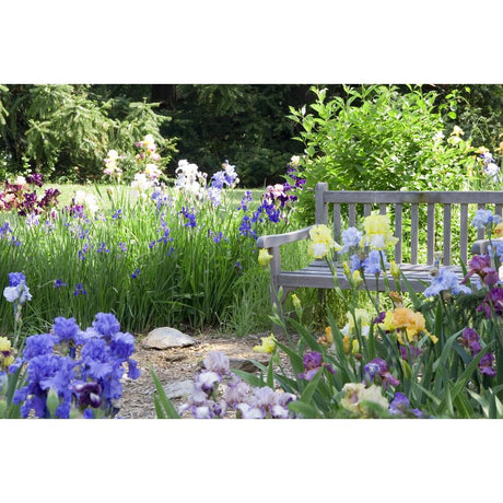 Discovering Why Your Plants Thrive in Certain Seasons