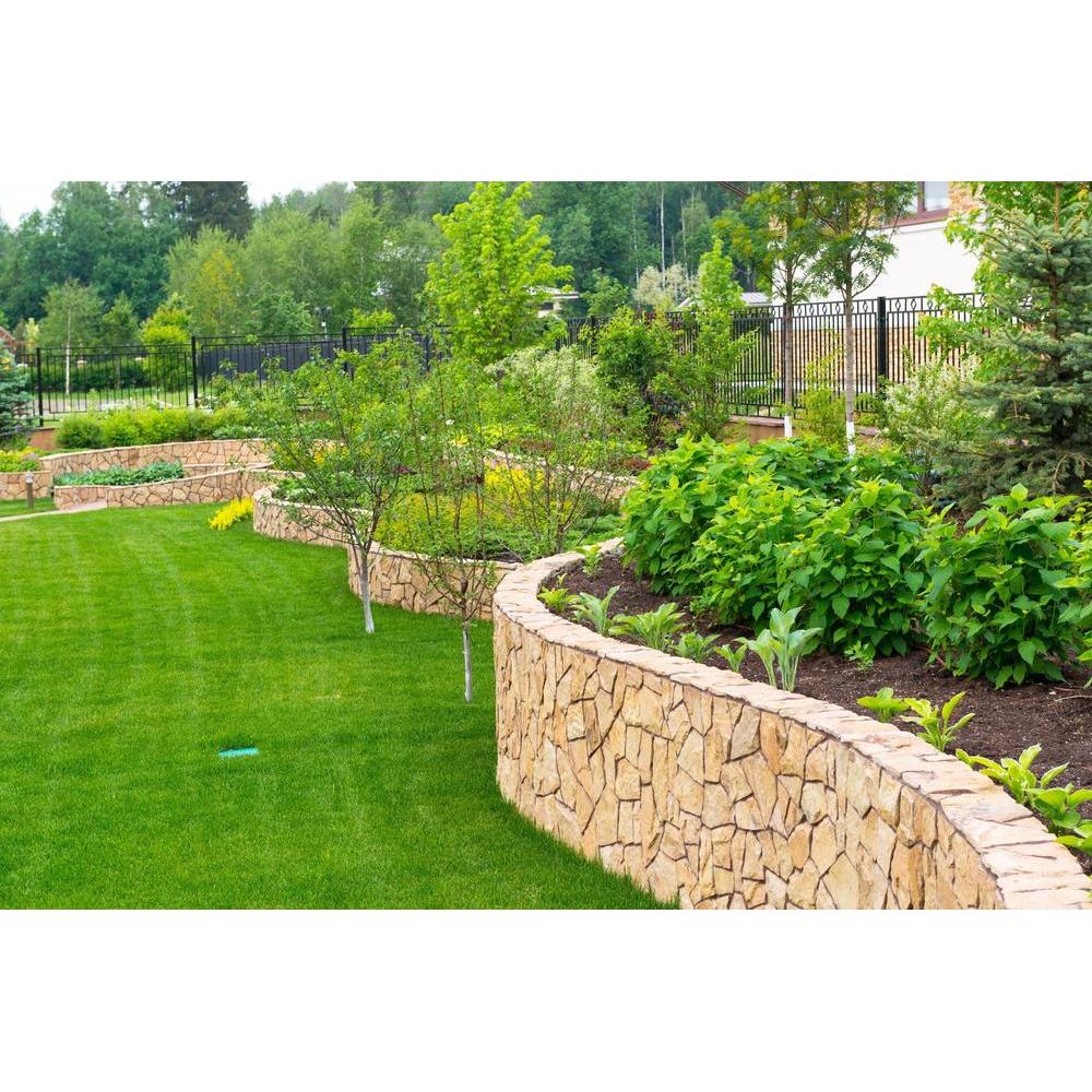 Design for Garden: Creating a Beautiful Yard with Expert Tips