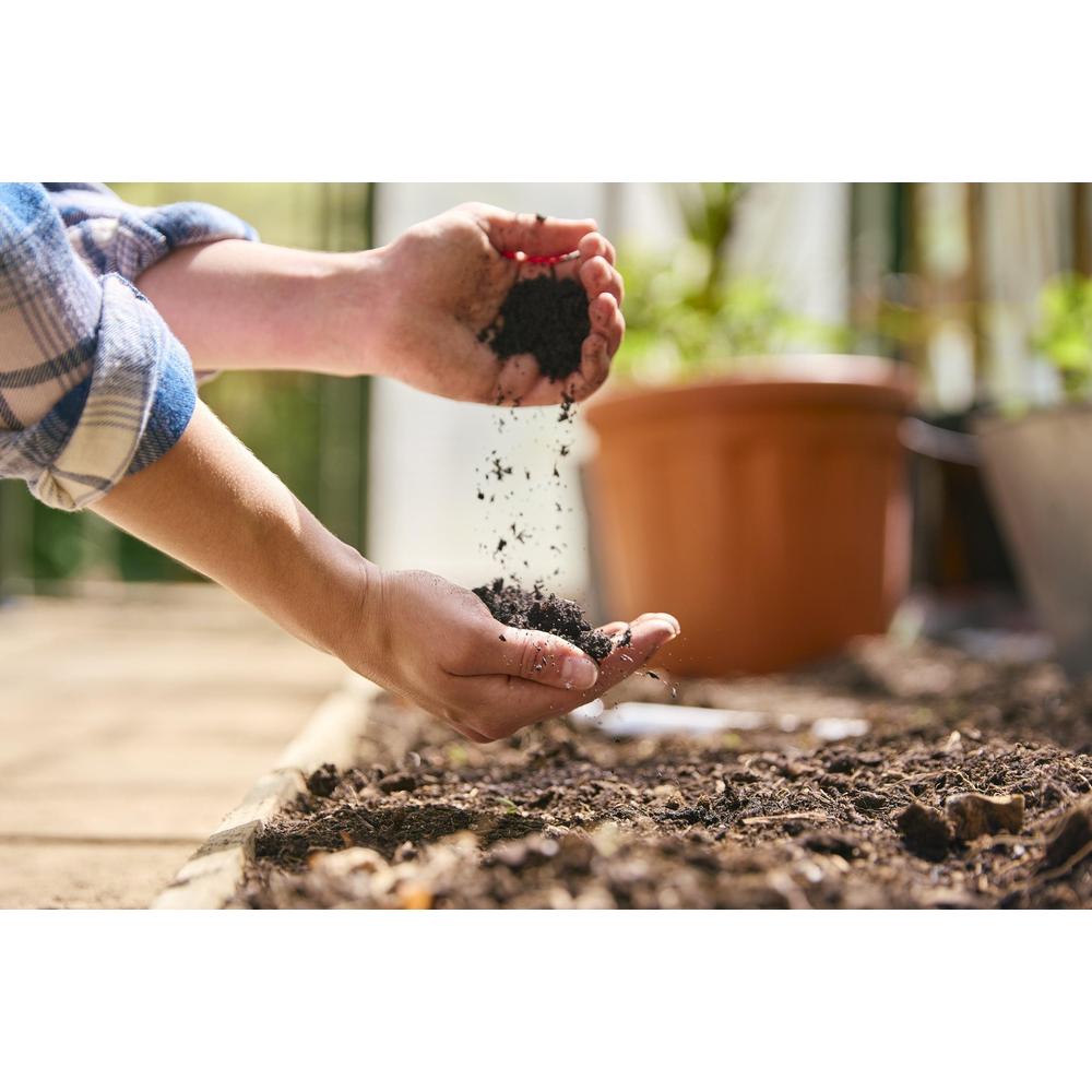 Understanding Soil Health: Tips for Sustainable Gardening