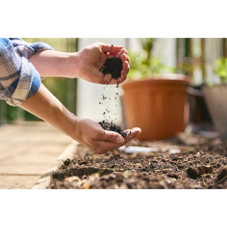 Understanding Soil Health: Tips for Sustainable Gardening