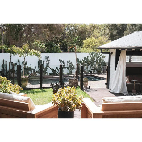 Using Cactus for a Water-Saving Garden