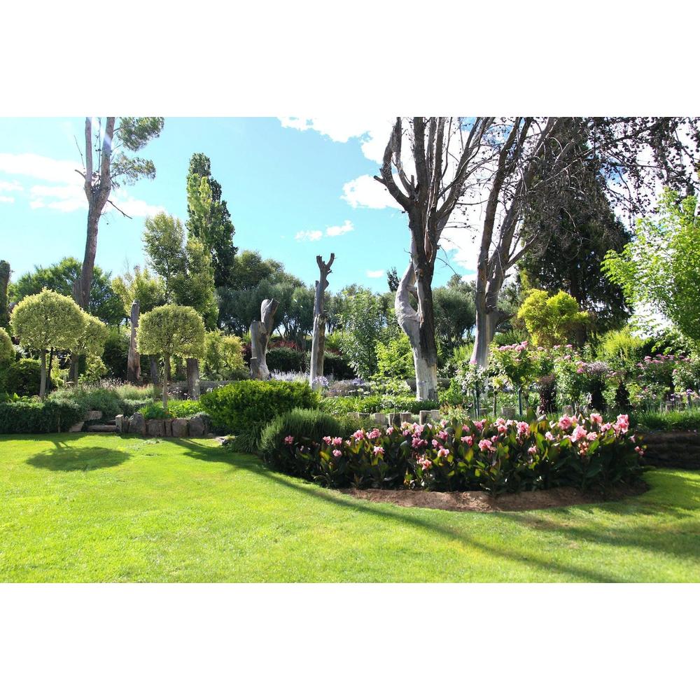 Brisbane Plant Nursery's Guide to Creating a Waterwise Garden: Sustainable Tips and Plant Selections