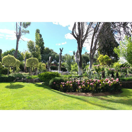Brisbane Plant Nursery's Guide to Creating a Waterwise Garden: Sustainable Tips and Plant Selections