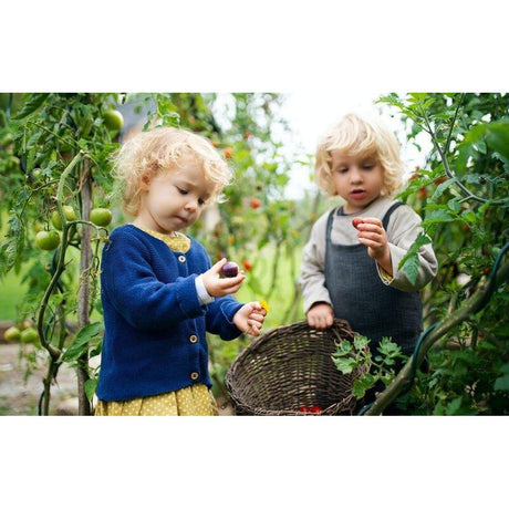 Enchanting Edibles: Growing a Successful Fruit and Vegetable Garden with Brisbane Plant Nursery