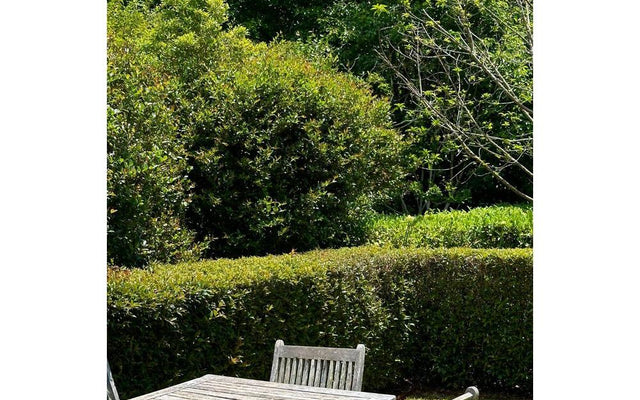 Creative Ideas for Garden Sitting Spaces