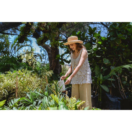 7 Water-Wise Gardening Tips for a Sustainable Brisbane Garden