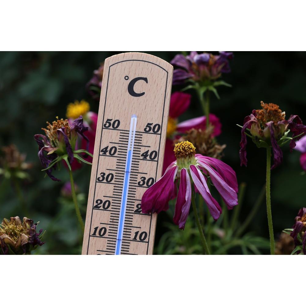 Keeping Happy Plants Through Heatwaves Your Ultimate Guide