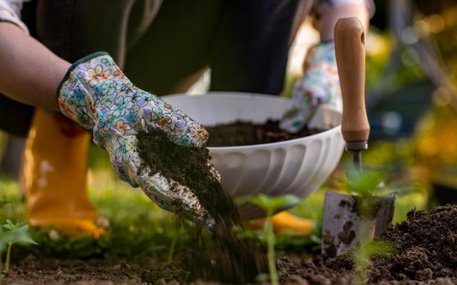 Transform Waste: 5 Everyday Household Items to Use as Fertiliser