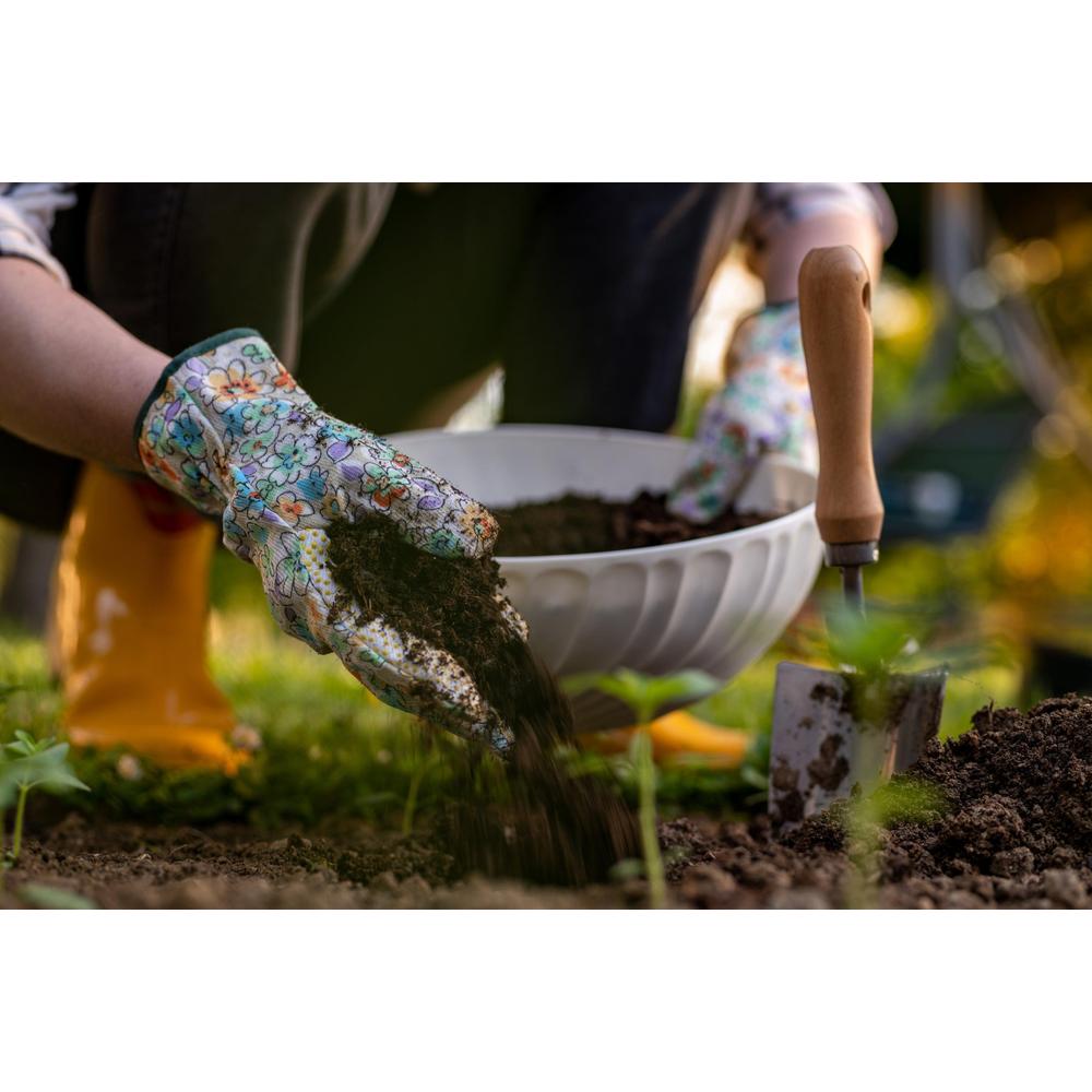 Transform Waste: 5 Everyday Household Items to Use as Fertiliser