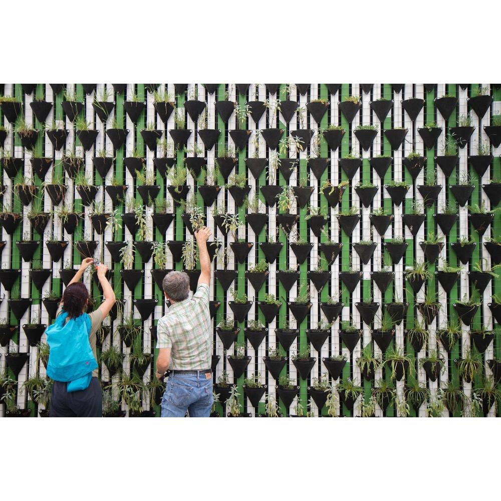 Creating the Perfect Urban Oasis: A Comprehensive Guide to Vertical Gardening with Brisbane Plant Nursery