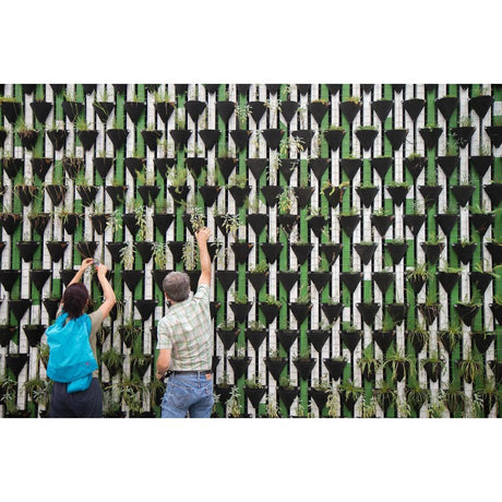 Creating the Perfect Urban Oasis: A Comprehensive Guide to Vertical Gardening with Brisbane Plant Nursery