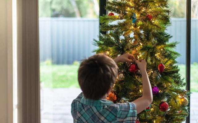Christmas Tree Care in Australia: Living and Potted Trees