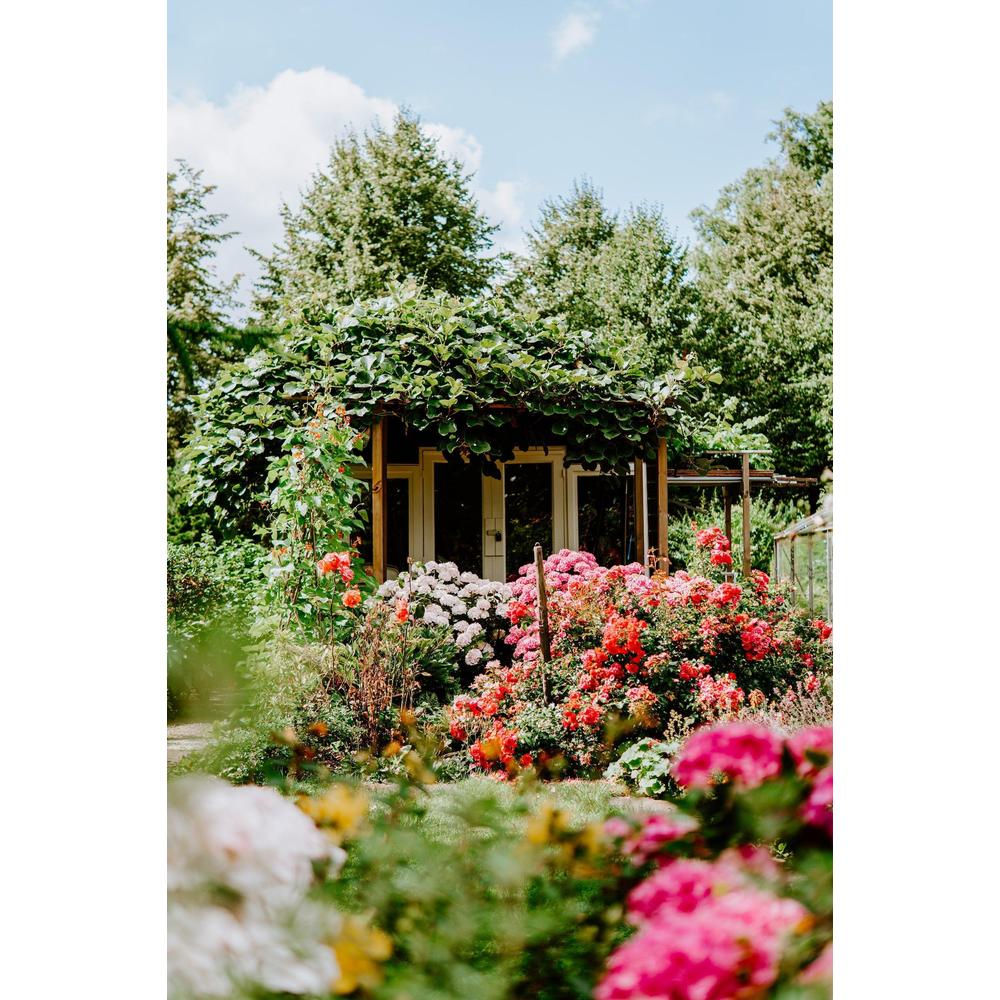 Breathe New Life into Your Indoor Spaces: The Ultimate Guide to Indoor Plants with Brisbane Plant Nursery