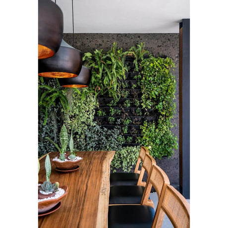 Best plants for a living plant wall idea