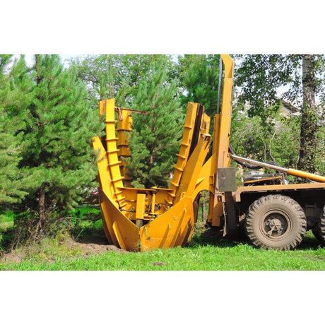 Transplanting Trees and Shrubs: A Guide to a Healthy Landscape