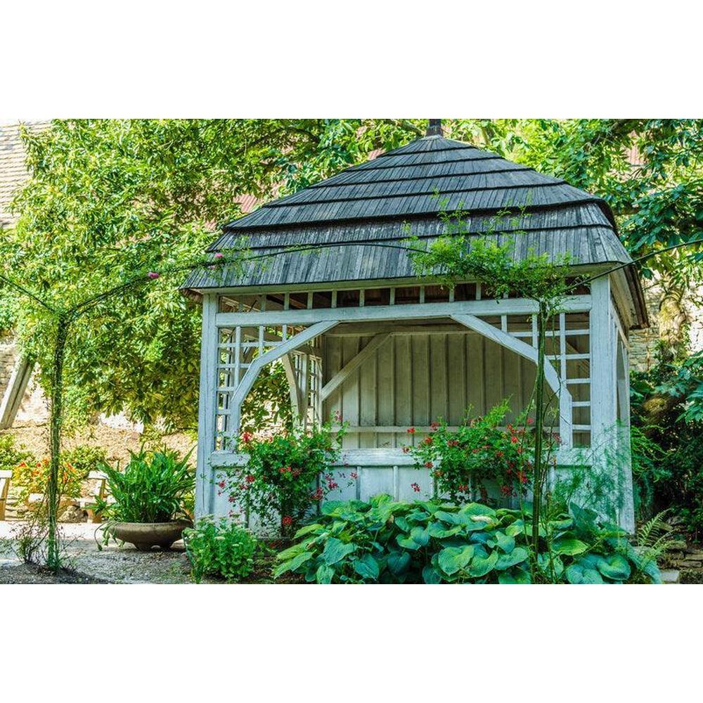 Turning Shade into Stunning: A Guide to Shade Gardening with Brisbane Plant Nursery