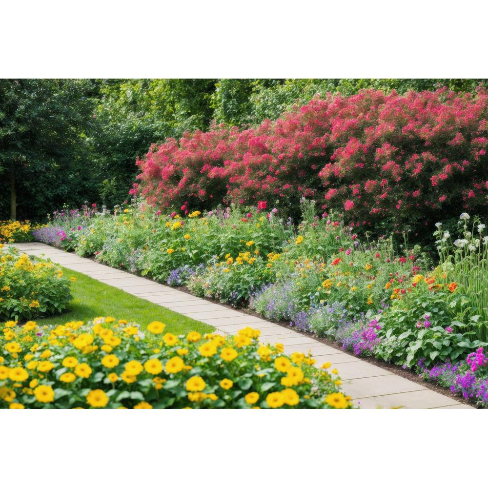 Pairing Plants to Compliment Eachother in Your Garden Oasis
