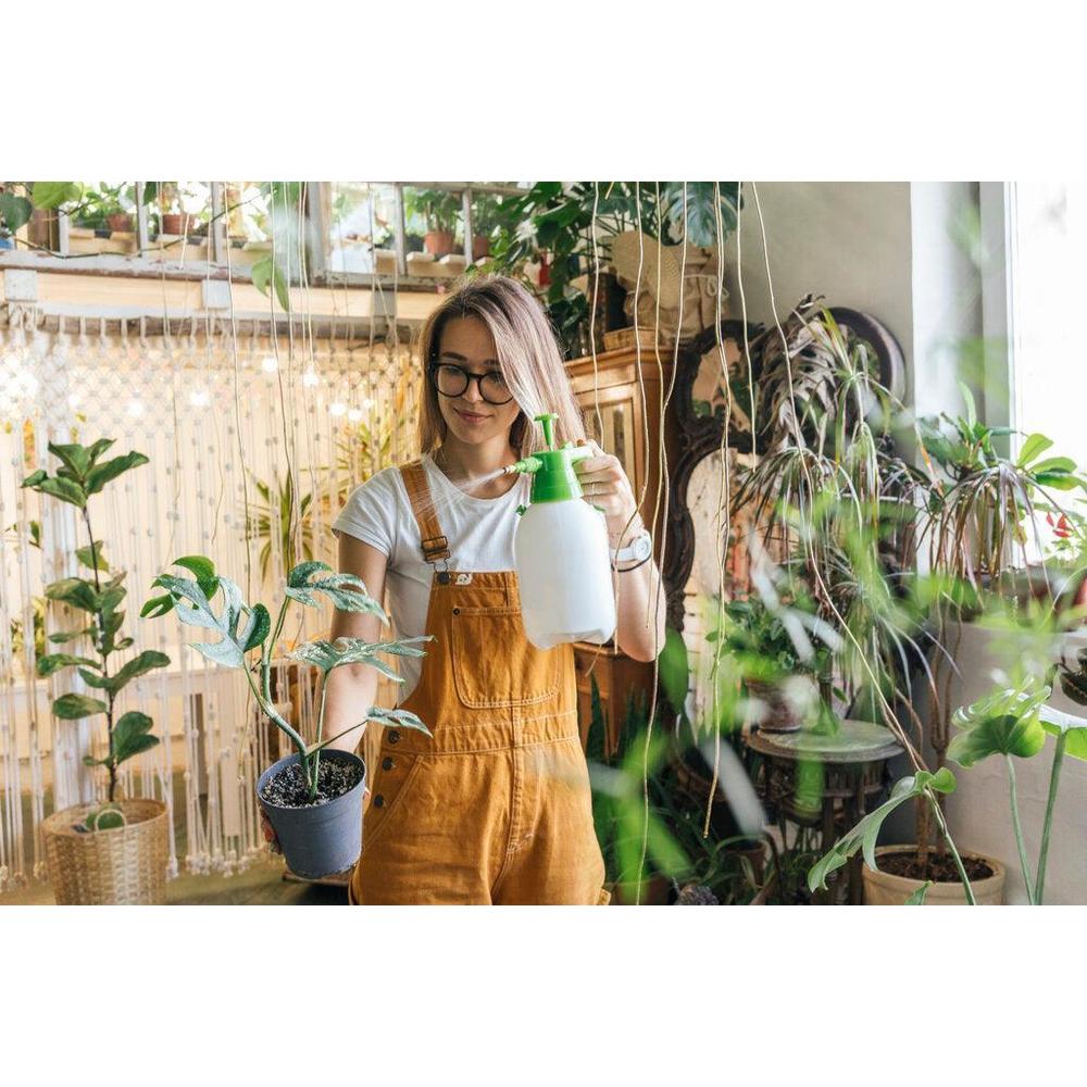 A Guide to Gardening in Small Spaces with Brisbane Plant Nursery