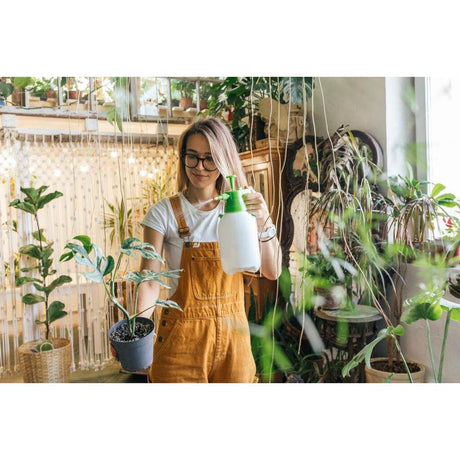 A Guide to Gardening in Small Spaces with Brisbane Plant Nursery