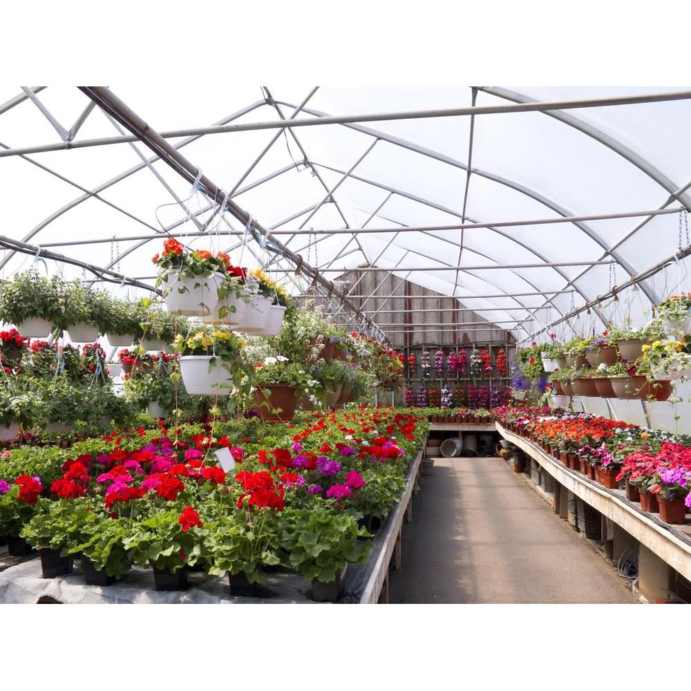 Online Plant Nursery Brisbane: Unbeatable Variety & Quality