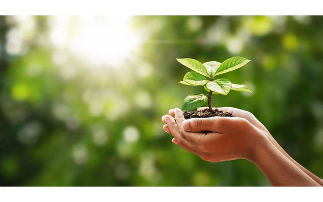 Embrace Green Gardening: Eco-Friendly Practices
