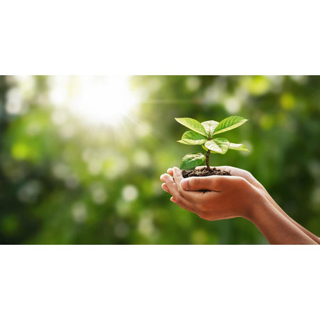 Embrace Green Gardening: Eco-Friendly Practices