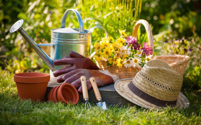 Common Gardening Myths: What You Need to Know