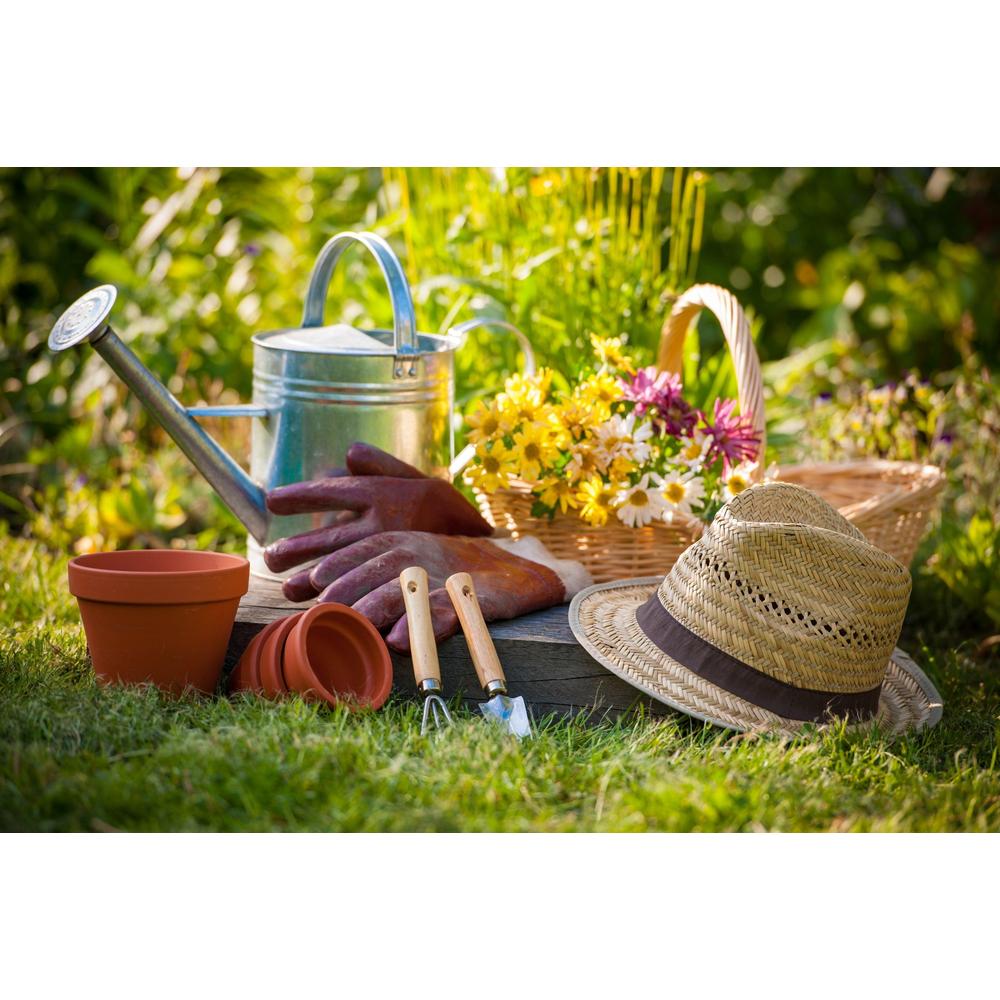 Common Gardening Myths: What You Need to Know