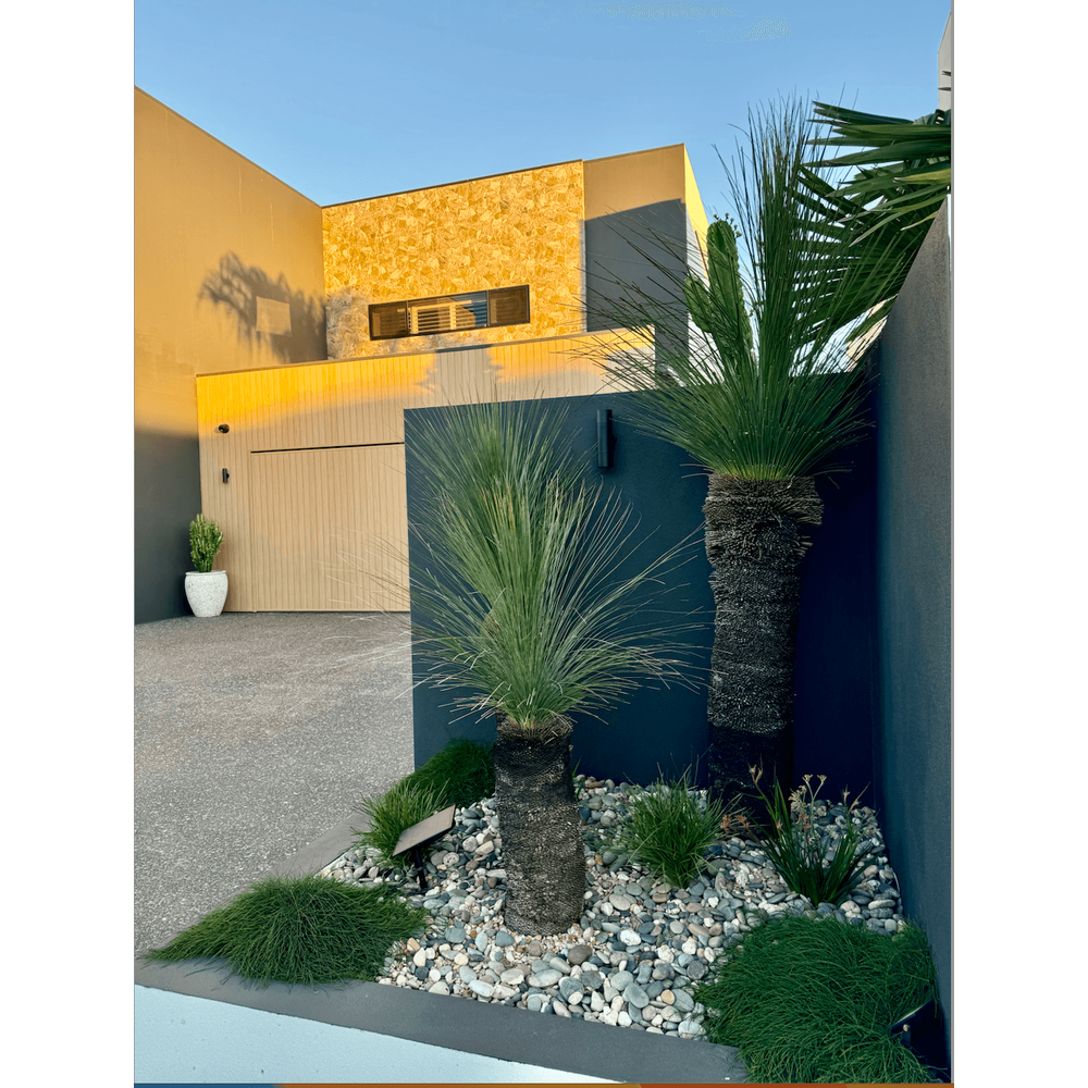 Choosing the Best Grasses for Tree Base Planting