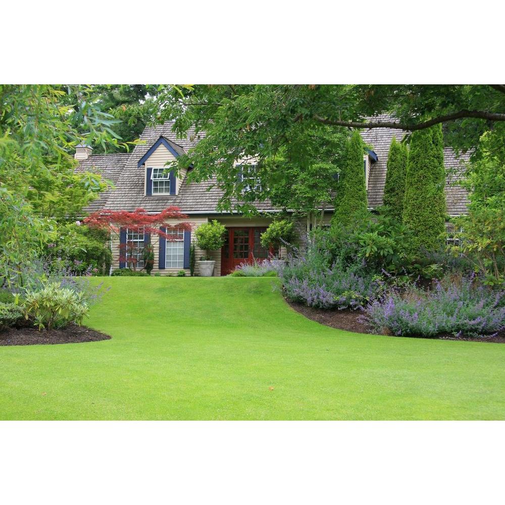 Garden Plants: Enhancing Your Outdoor Space