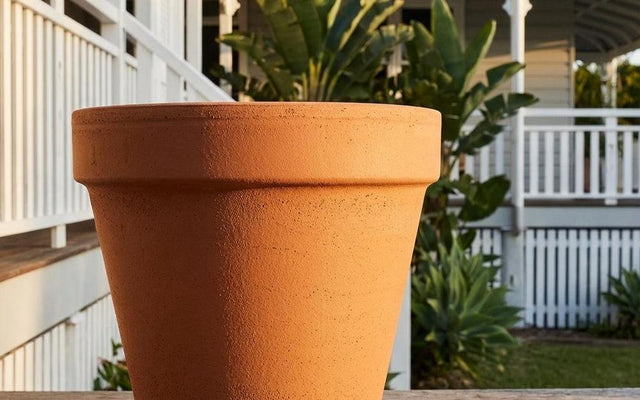 Choosing the Right Size Pot for Your Plant: The Complete Guide