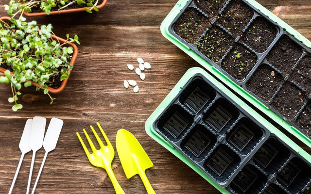 Decoding Plant Labels: Tips for Australian Gardeners