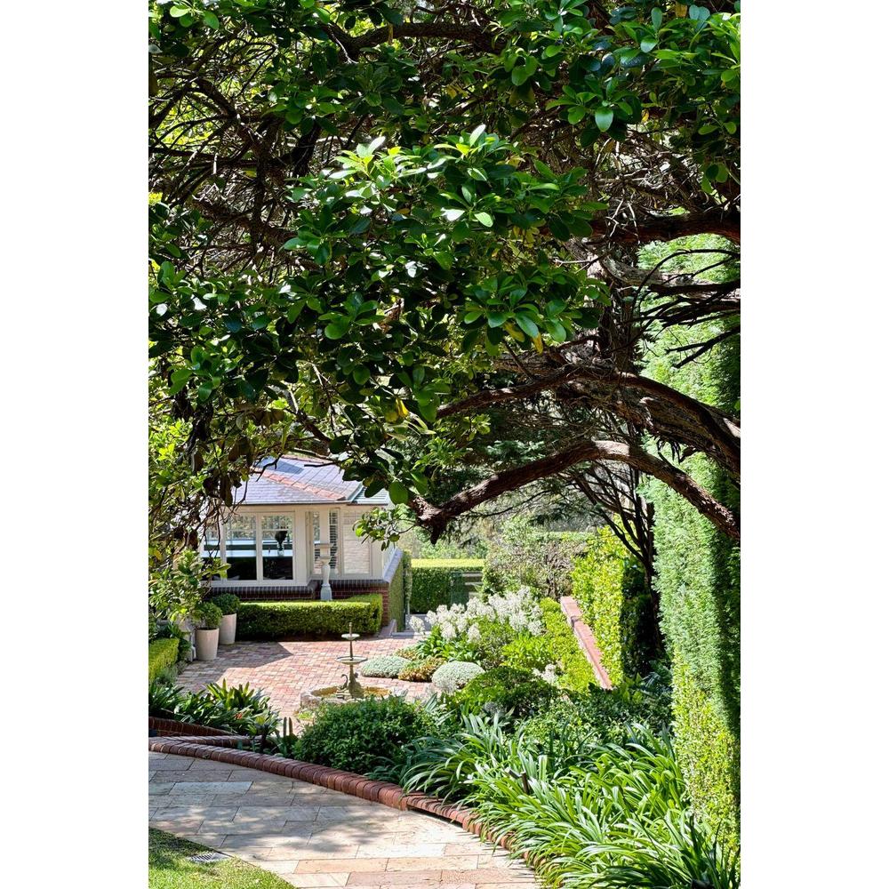 Maximising Your Space for Efficient Planting