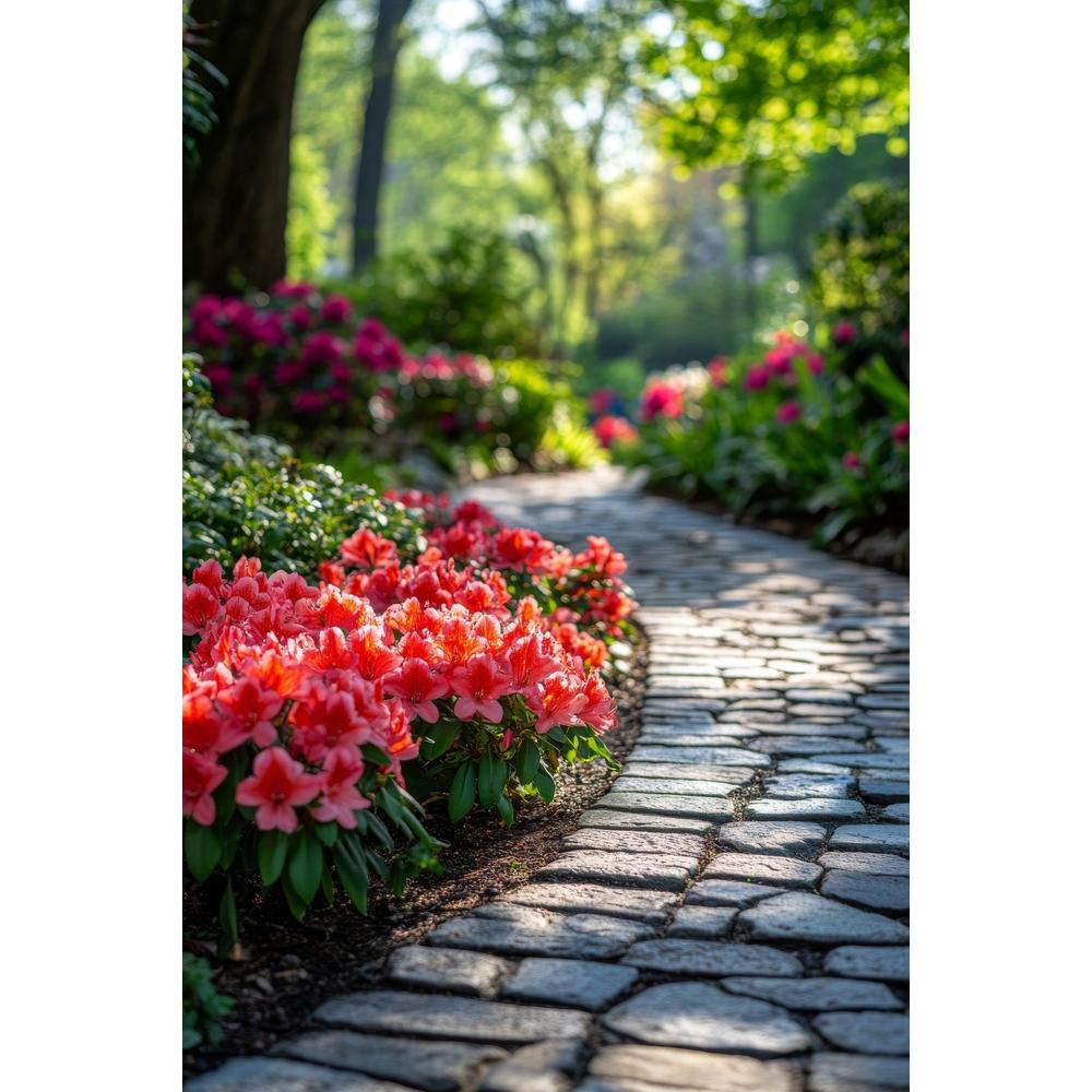 Border Brilliance: Low-Growing Plant Ideas