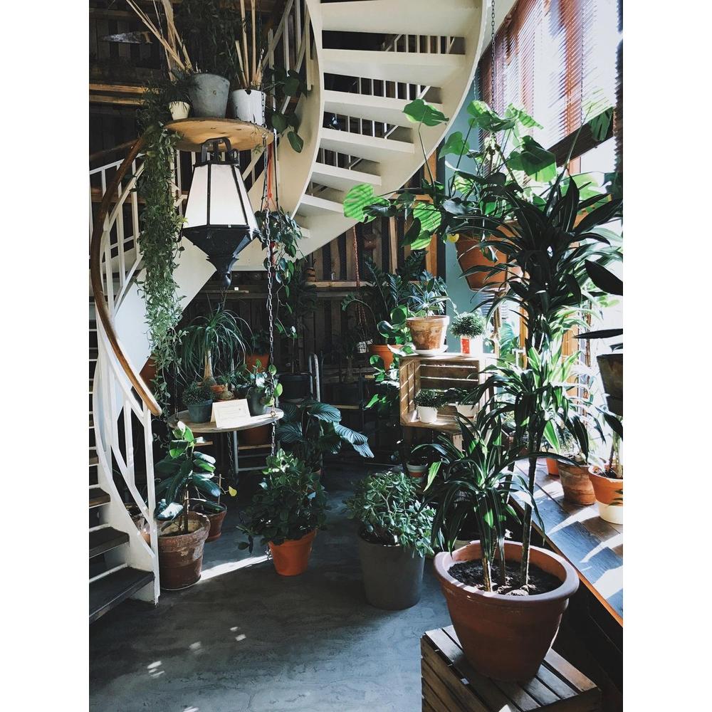 A Beginner's Guide to Creating Your Own Vertical Garden