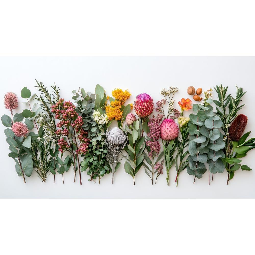 Top Native Australian Plants for Your Garden