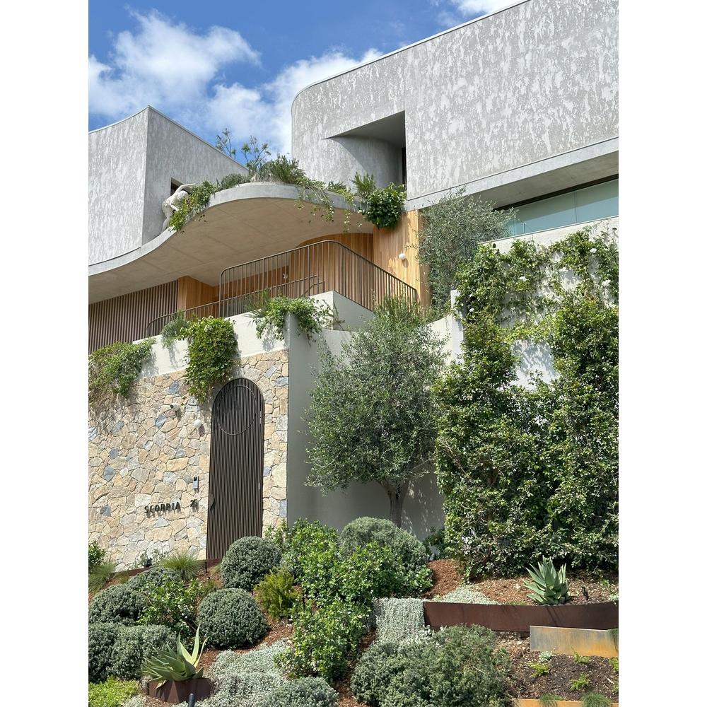 Gardening Tips for Lush Plants in Spring