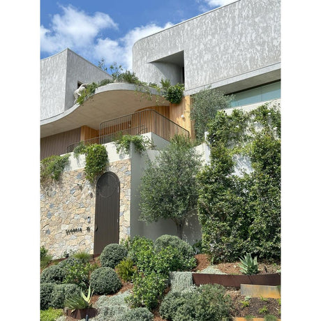 Gardening Tips for Lush Plants in Spring