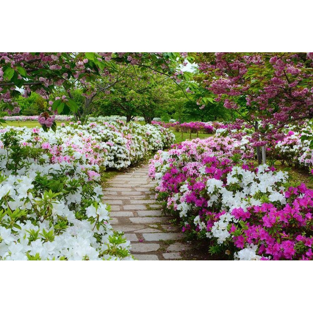 Top Relaxing Garden Options for 2025