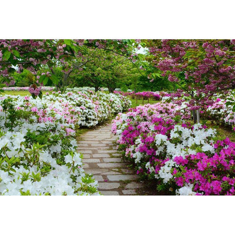 Top Relaxing Garden Options for 2025