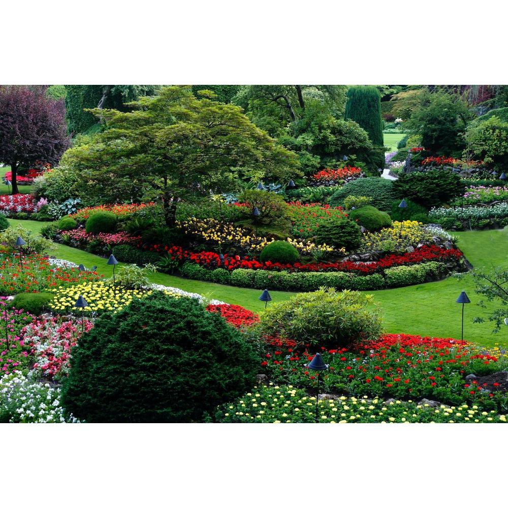 Drought-Resistant Gardening: A Guide To Sustainable Landscaping with Brisbane Plant Nursery