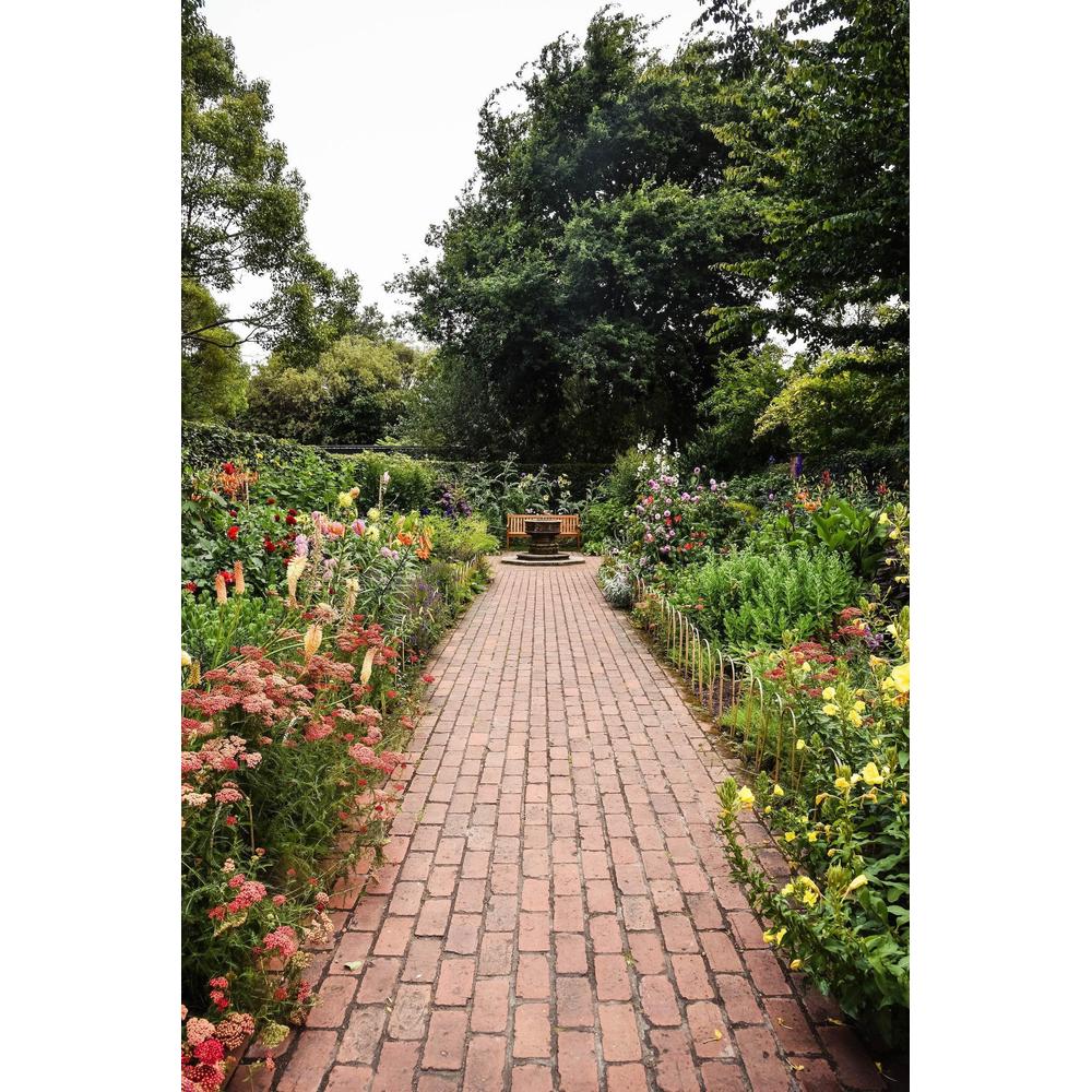 A Comprehensive Guide to Creating an Australian Native Garden